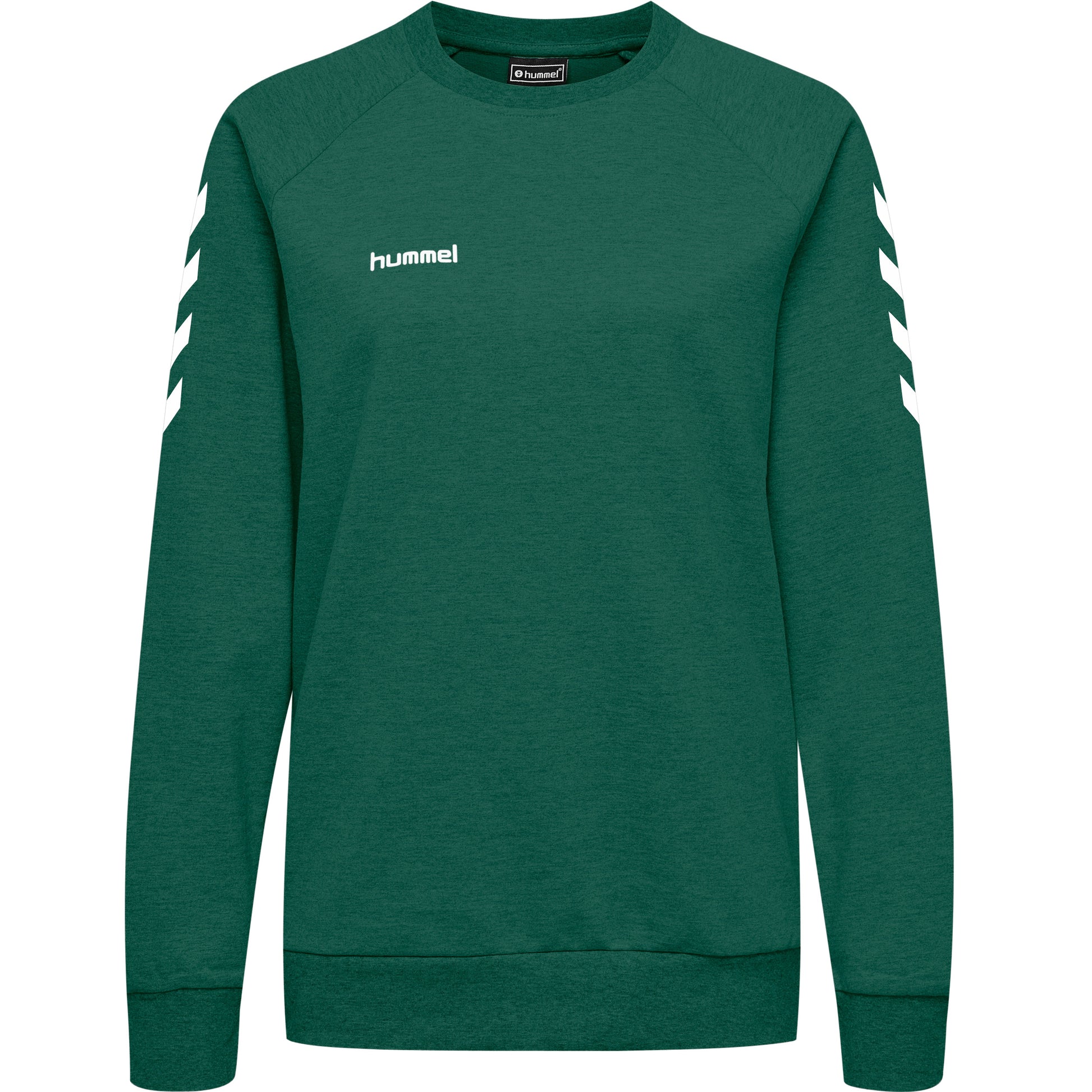 6140-EVERGREEN