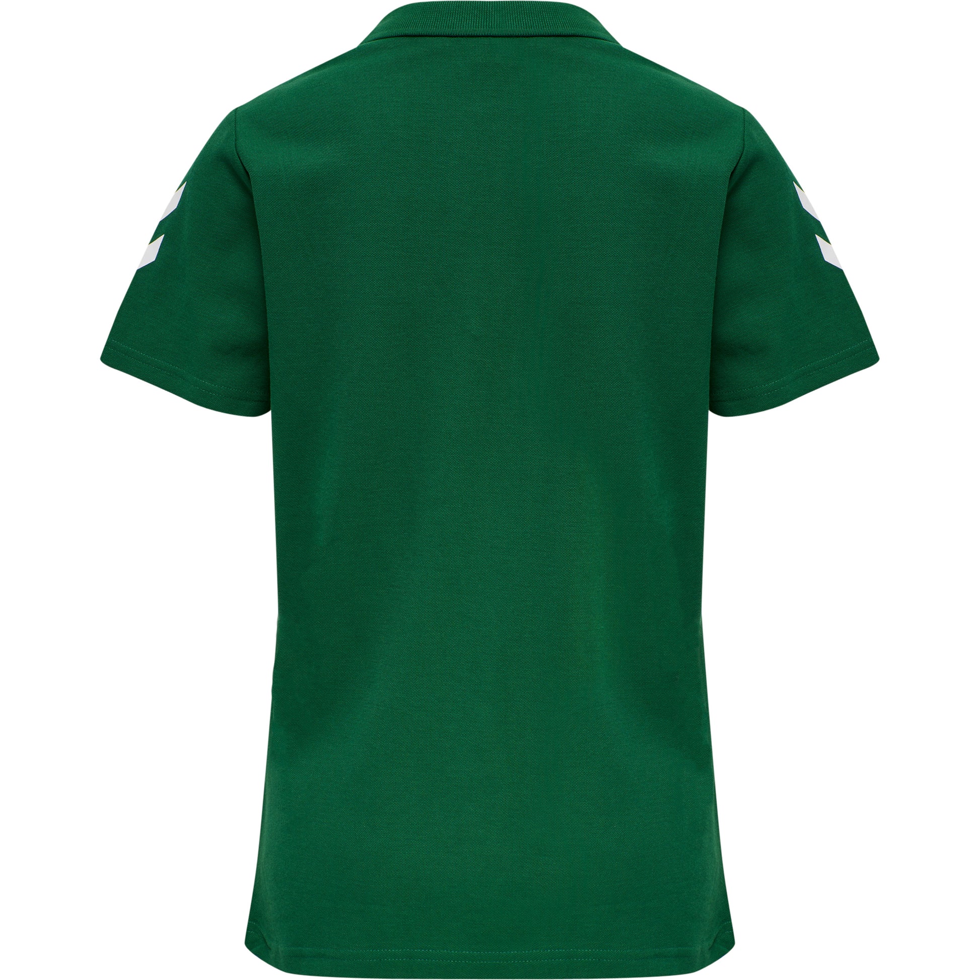 6140-EVERGREEN
