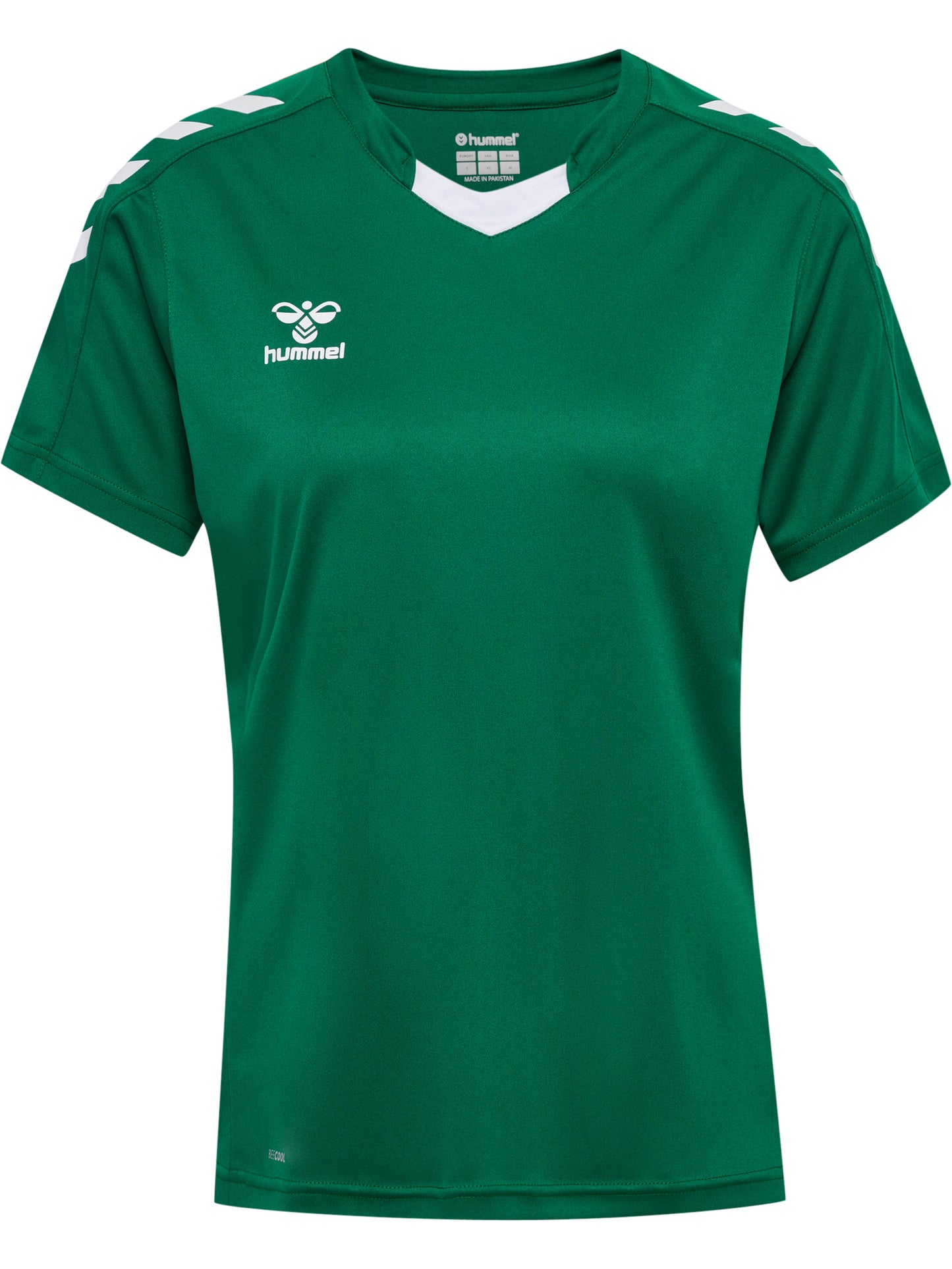 6140-EVERGREEN