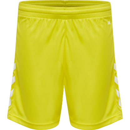 5269-BLAZING YELLOW