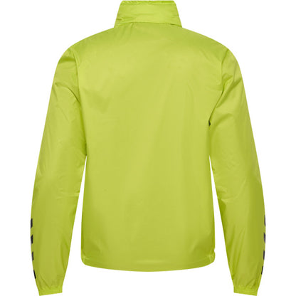 5045-LIME POPSICLE
