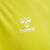 5269-BLAZING YELLOW