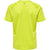 5045-LIME POPSICLE