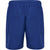 8558-SODALITE BLUE