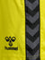 5269-BLAZING YELLOW