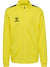 5269-BLAZING YELLOW