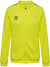 5269-BLAZING YELLOW