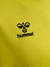 5269-BLAZING YELLOW