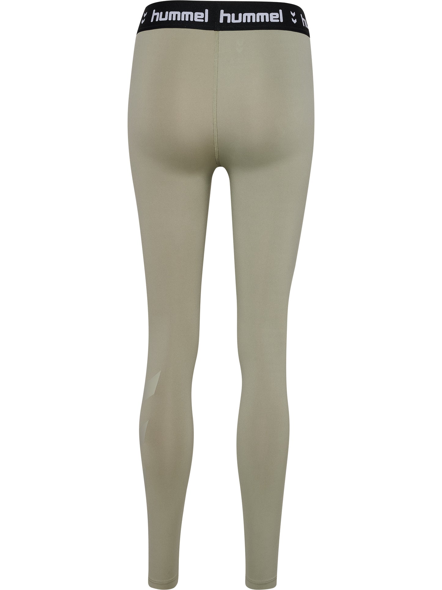 6092-SEAGRASS