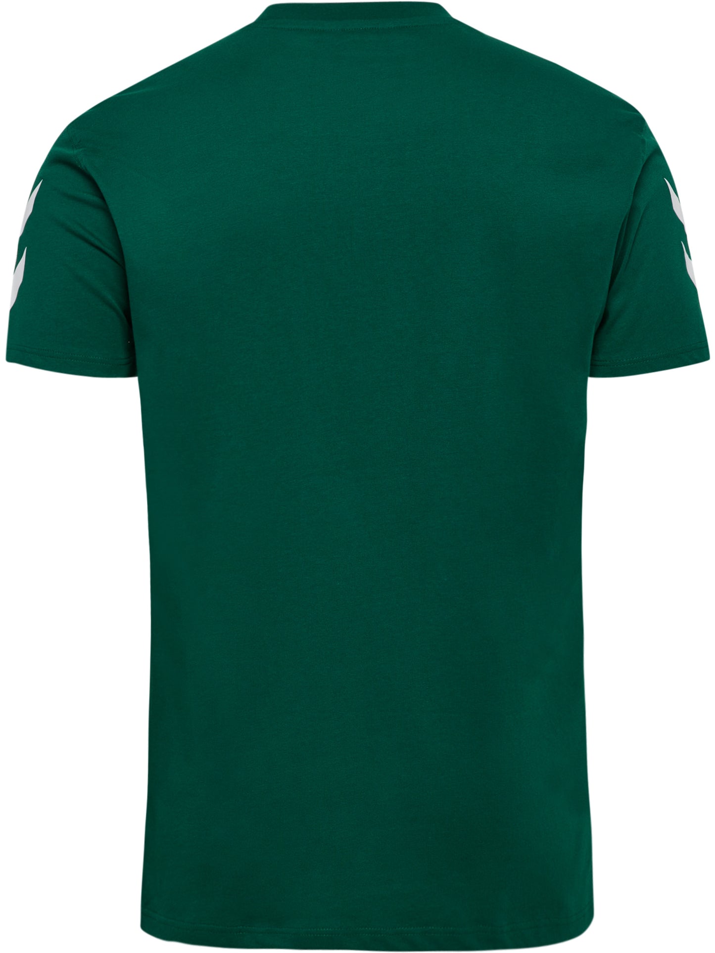 6140-EVERGREEN