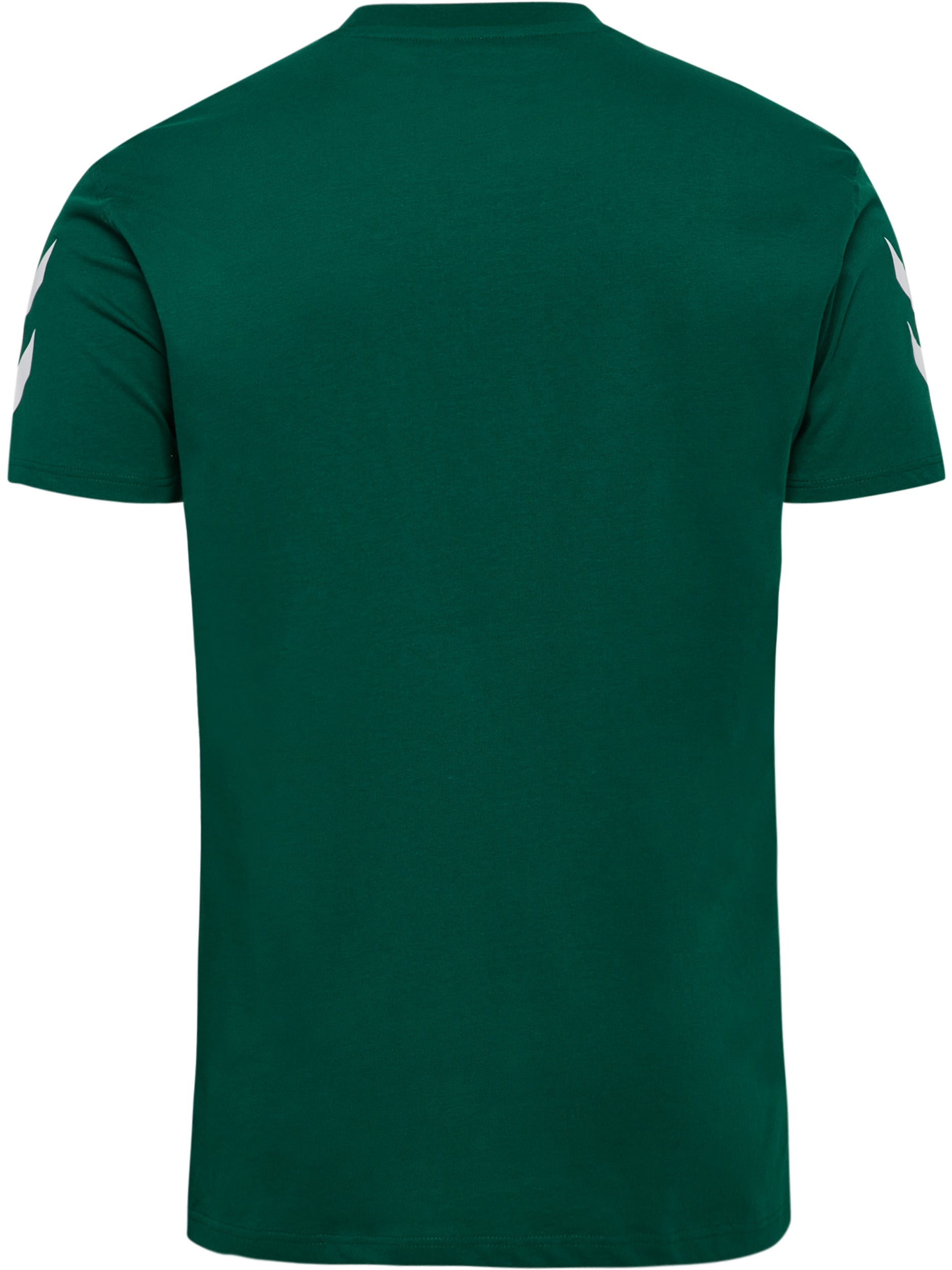 6140-EVERGREEN