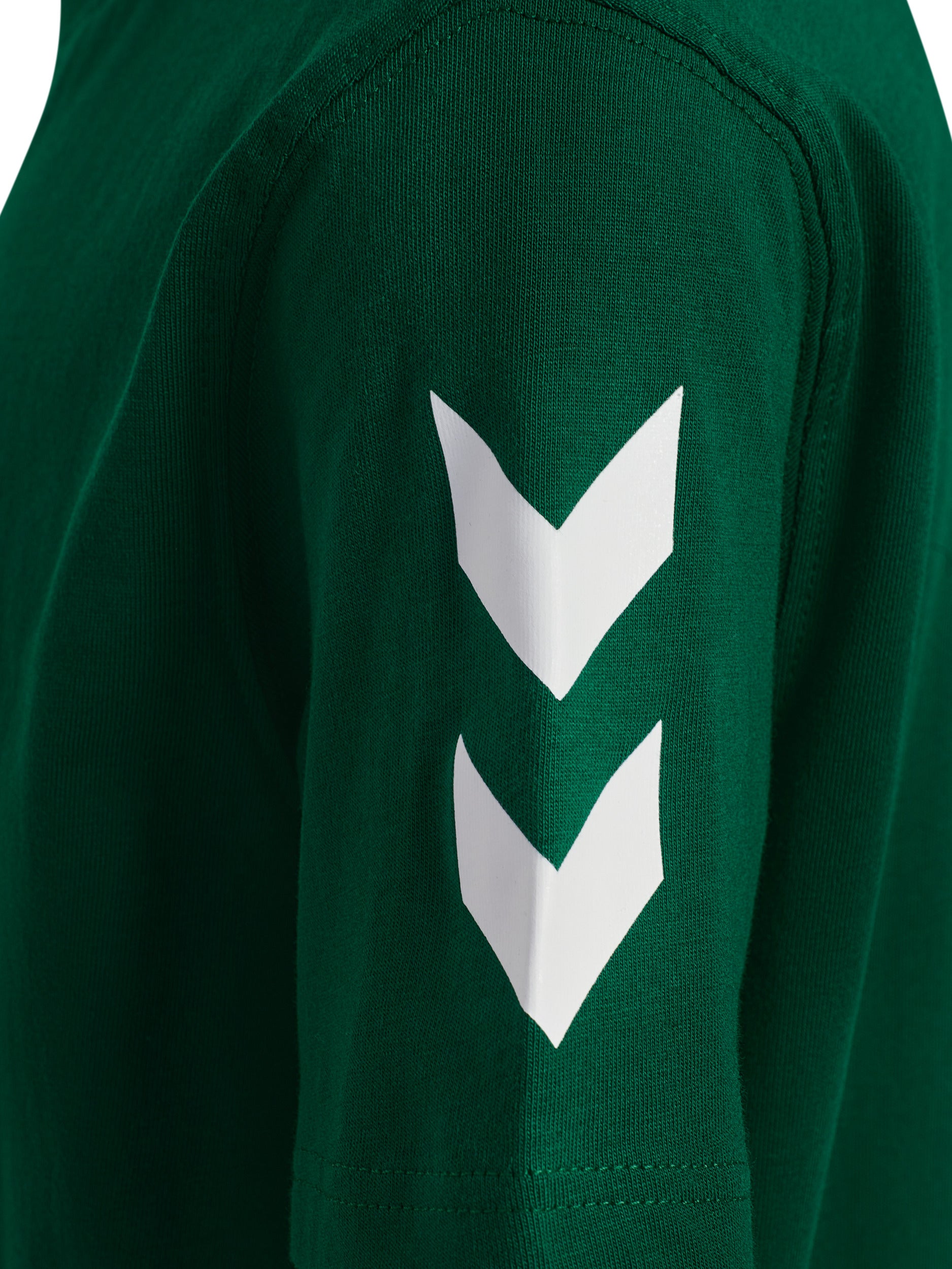 6140-EVERGREEN