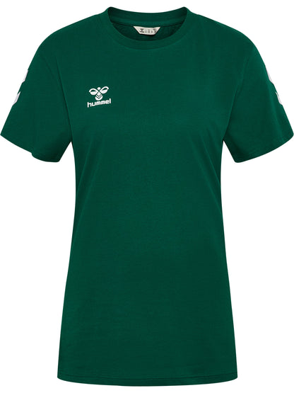 6140-EVERGREEN