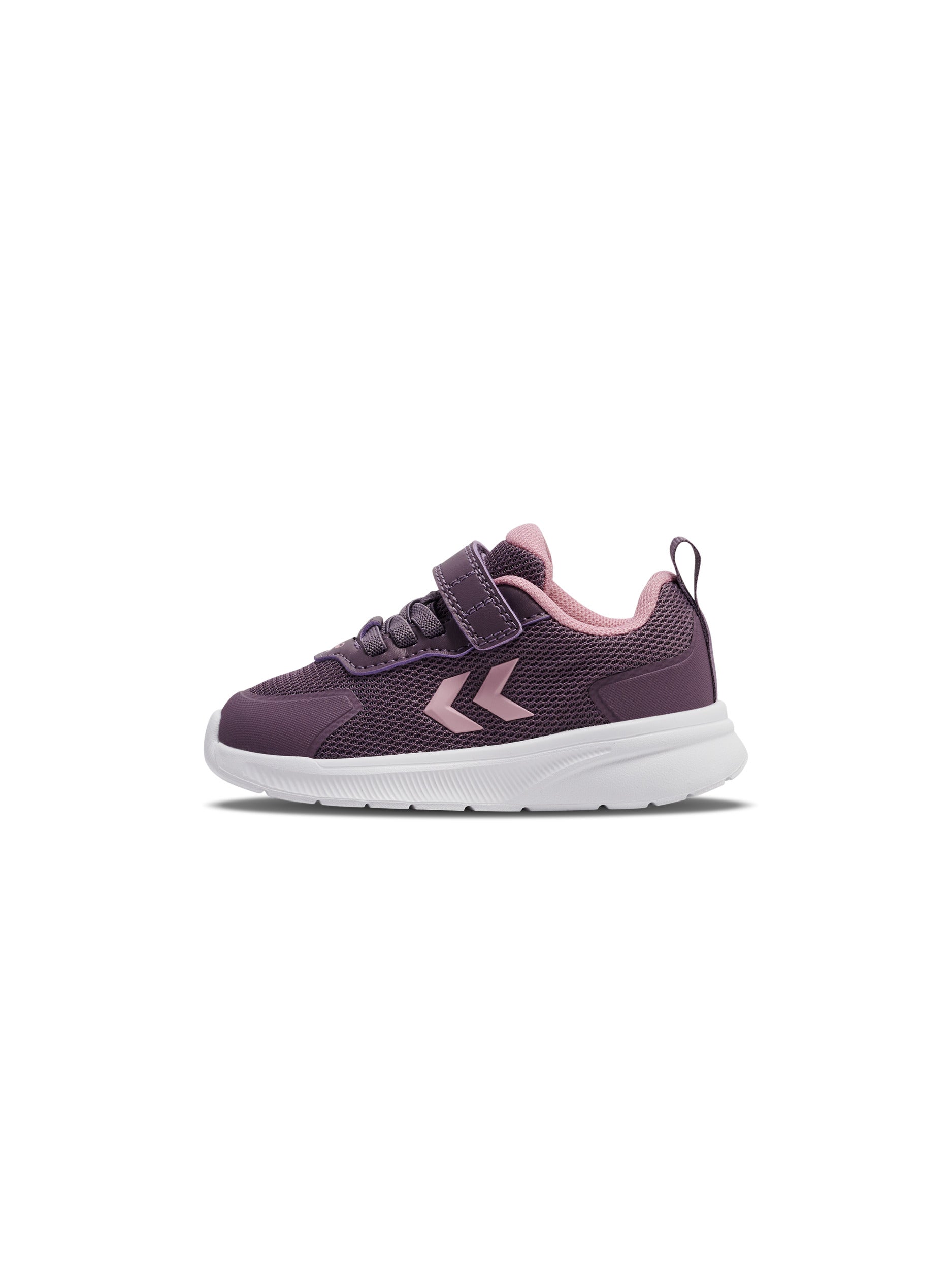 4856-BLACK PLUM