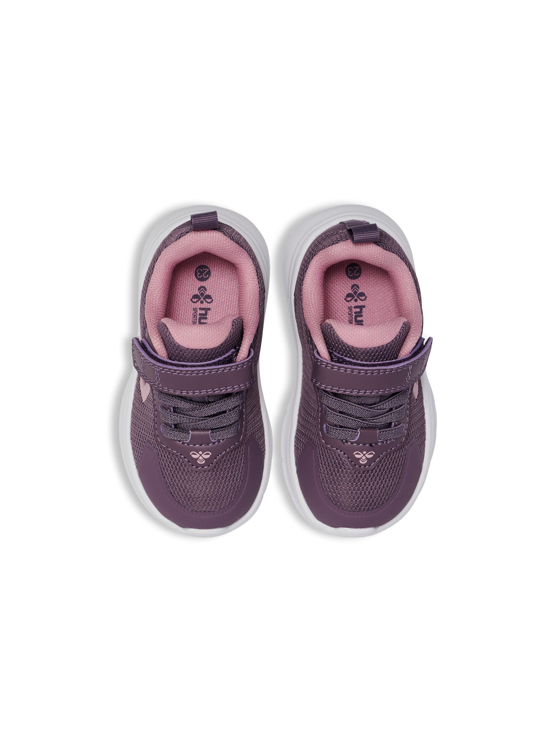 4856-BLACK PLUM