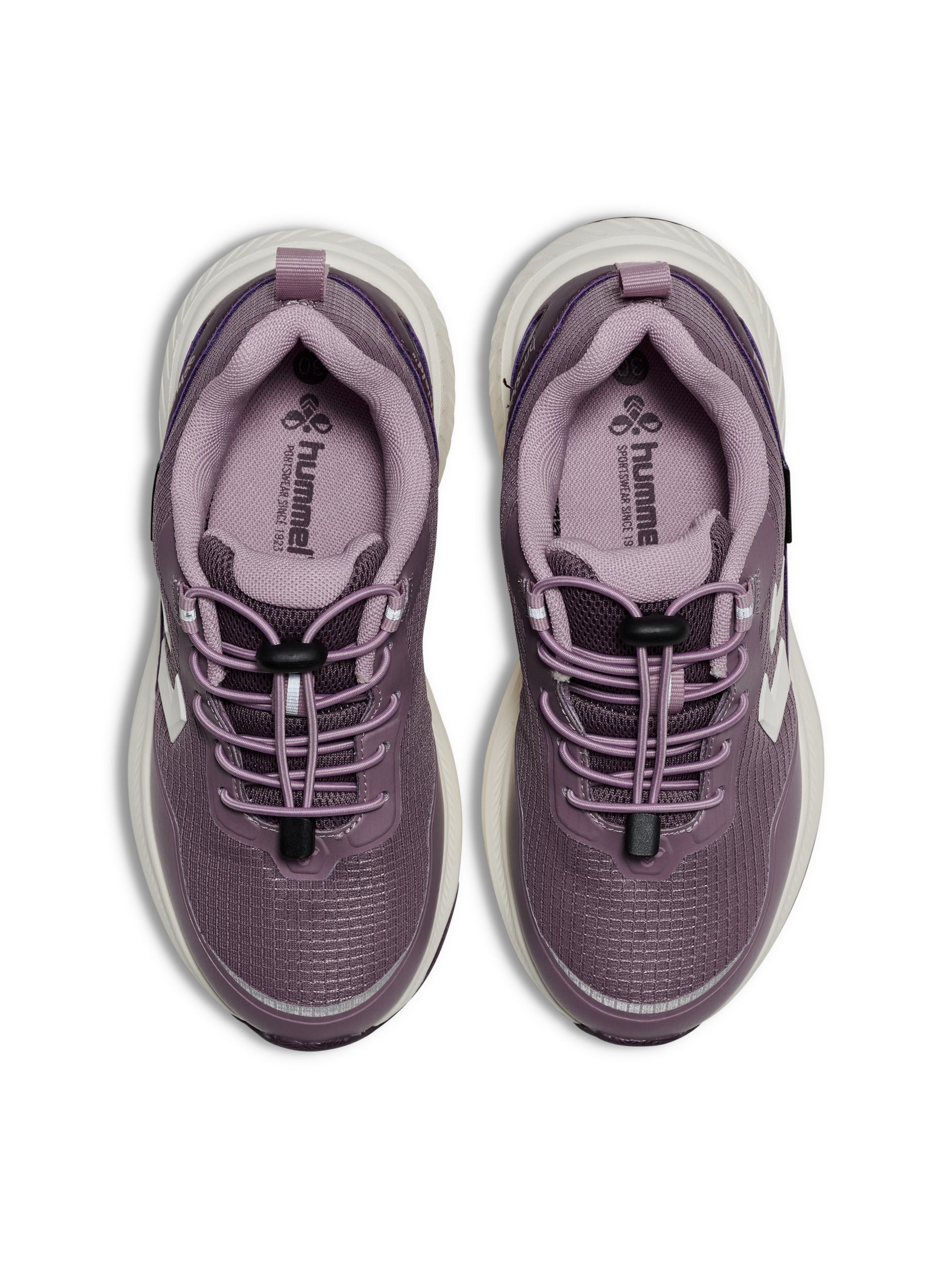 CREEK LOW TEX JR – CATAWBA GRAPE/ELDERBERRY