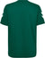 6140-EVERGREEN