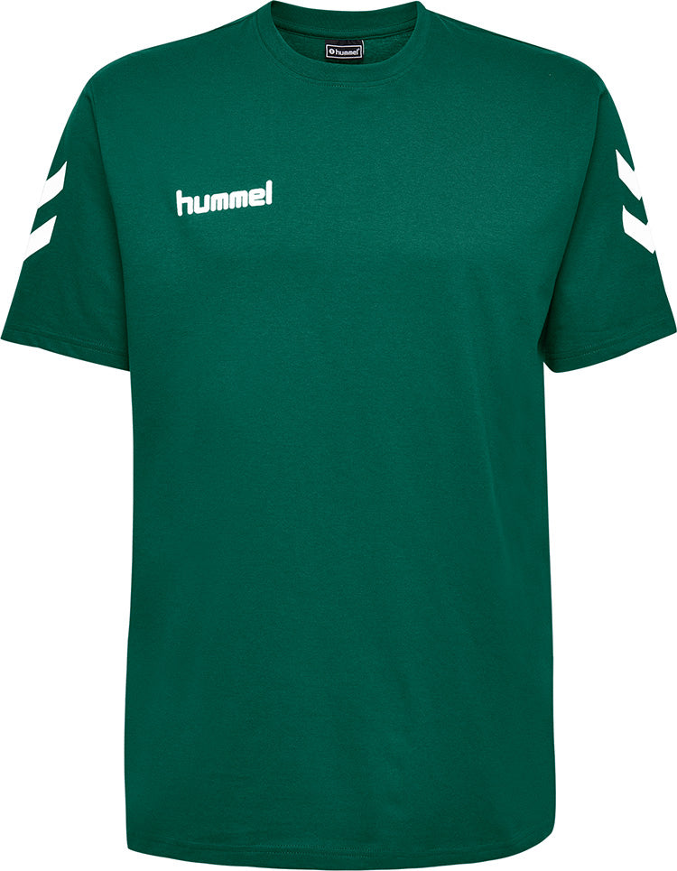 6140-EVERGREEN