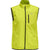 6102-EVENING PRIMROSE