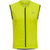 6102-EVENING PRIMROSE