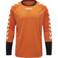 ESSENTIAL GK JERSEY