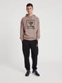 hmlISAM 2.0 HOODIE