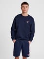 hmlIC DAYTON SWEATSHIRT