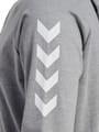 HMLGO COTTON HOODIE