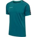 hmlAUTHENTIC TRAINING TEE