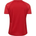 hmlAUTHENTIC PRO JERSEY S/S