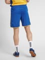 hmlAUTHENTIC POLY SHORTS