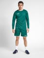 hmlAUTHENTIC POLY SHORTS