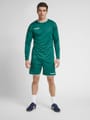 hmlAUTHENTIC POLY SHORTS