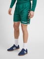 hmlAUTHENTIC POLY SHORTS