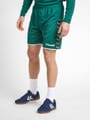 hmlAUTHENTIC POLY SHORTS