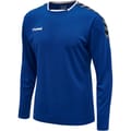 hmlAUTHENTIC POLY JERSEY L/S
