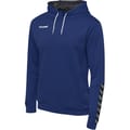 hmlAUTHENTIC POLY HOODIE