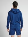 hmlAUTHENTIC POLY HOODIE