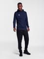 hmlAUTHENTIC PL ZIP HOODIE