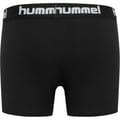 hmlNOLAN BOXERS 2-PACK