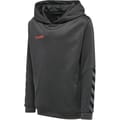 hmlAUTHENTIC KIDS POLY HOODIE
