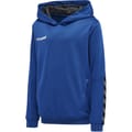 hmlAUTHENTIC KIDS POLY HOODIE