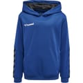 hmlAUTHENTIC KIDS POLY HOODIE