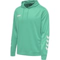 hmlPROMO POLY HOODIE
