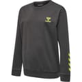 hmlOFFGRID COTTON SWEATSHIRT KIDS