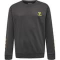 hmlOFFGRID COTTON SWEATSHIRT KIDS