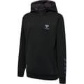 hmlOFFGRID COTTON HOODIE KIDS