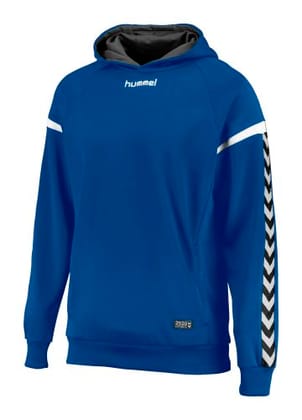 AUTH. CHARGE KIDS POLY HOODIE