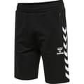 hmlRAY 2.0 SHORTS
