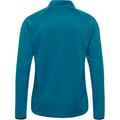 hmlAUTHENTIC PRO HALF ZIP SWEAT